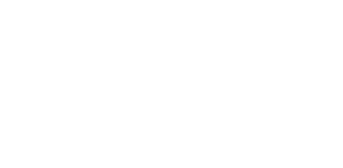 EmbChips